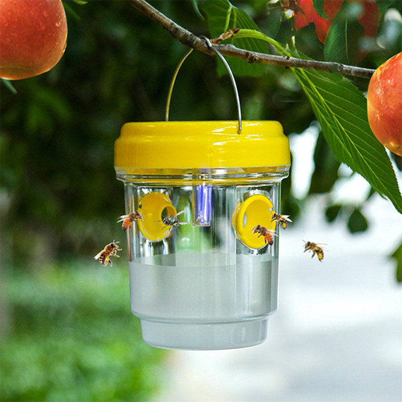 مصائد ذباب الفاكهة تعمل بالطاق - مراجعة Outdoor Lighting Company وسعره