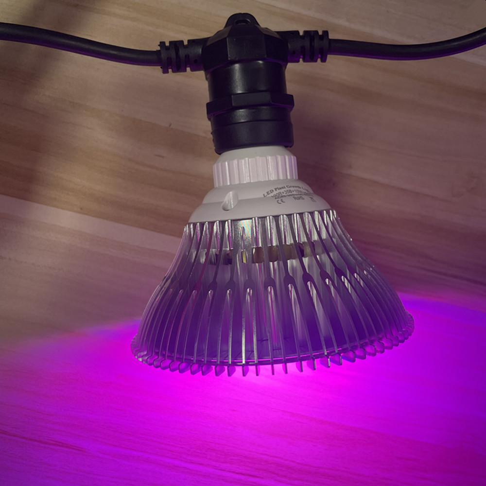 سلسلة إضاءة LED بطول 10 أمتار، - مراجعة Outdoor Lighting Socket وسعره