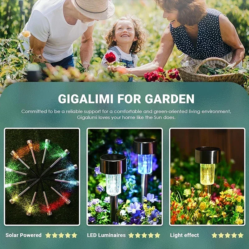 أضواء الشمسية في الهواء الطلق  - مراجعة Outdoor Lighting Brands وسعره